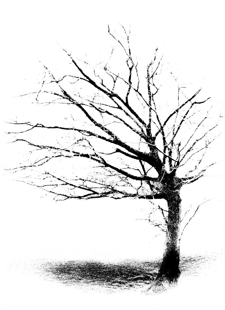 arbre-sans-nom-30x40-742x1024 Autour du mariage 2: L'arbre à empreintes Peinture Photographie 